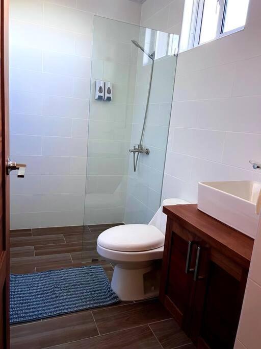 Apartamento Magnificent Pent House W/Jacuzzi Santiago De Los Caballeros Exterior foto